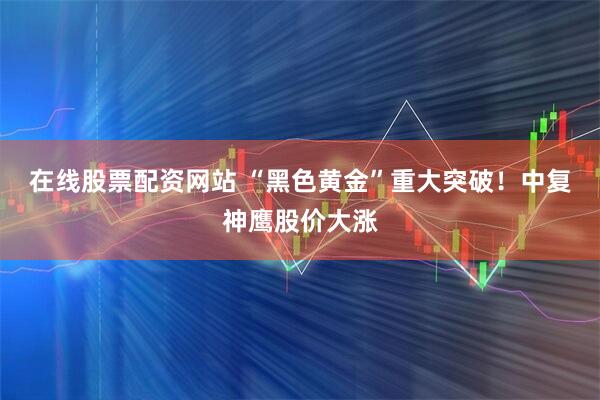 在线股票配资网站 “黑色黄金”重大突破！中复神鹰股价大涨